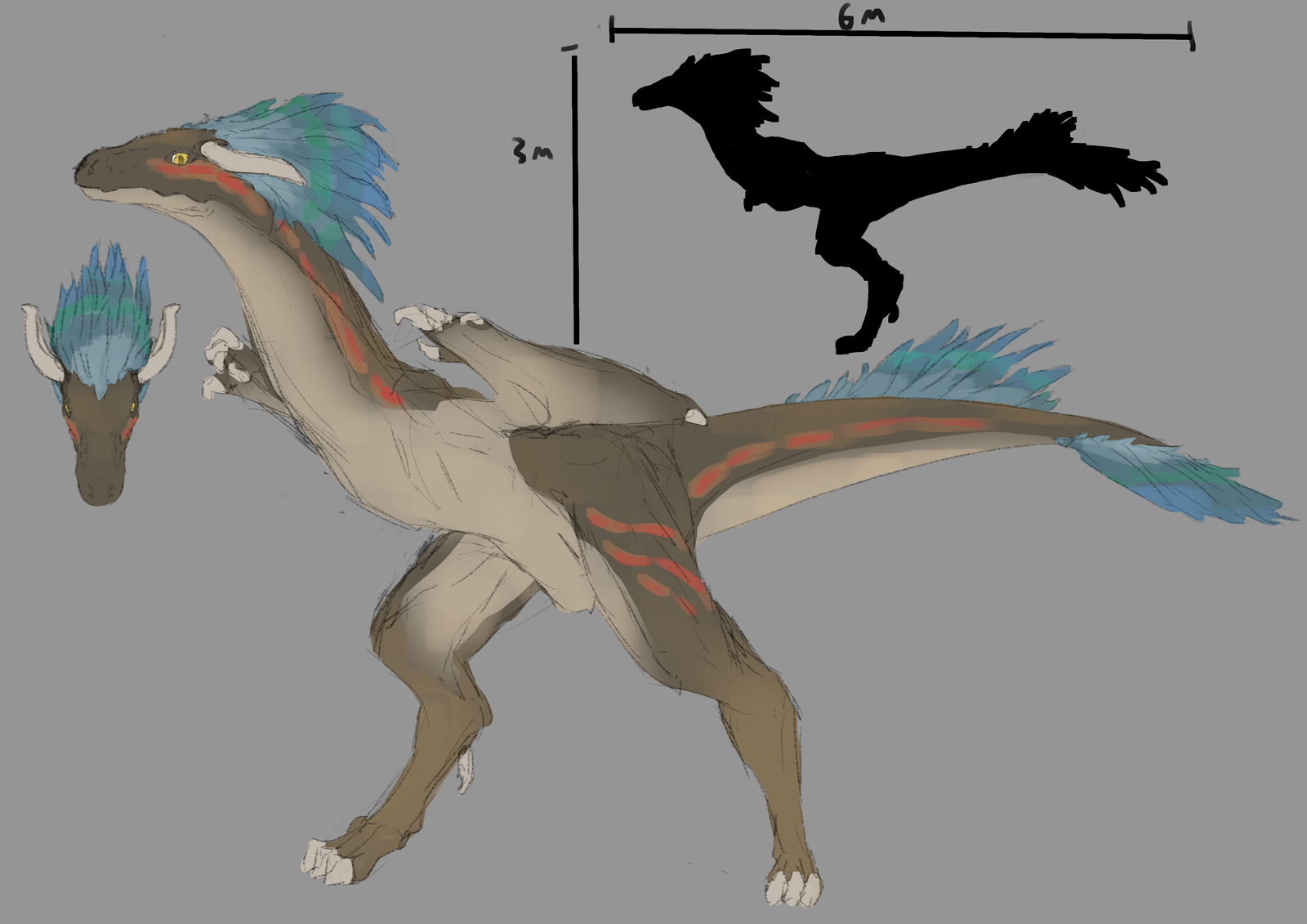 More color exploration for the fast flightless dragon.